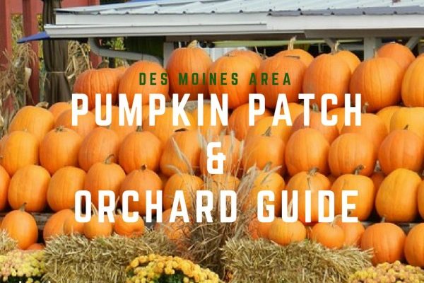 Des Moines Area Pumpkin Patch and Orchard Guide | Des Moines Moms Blog