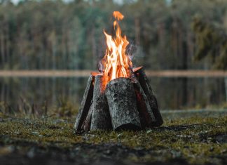 Fire on edge of lake