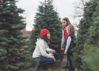 Christmas tree farms Des Moines